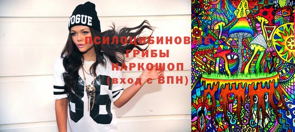 ГАЛЛЮЦИНОГЕННЫЕ ГРИБЫ Касимов