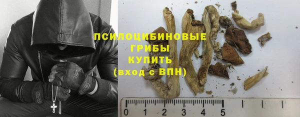 ГАЛЛЮЦИНОГЕННЫЕ ГРИБЫ Касимов
