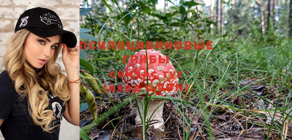 MDMA Premium VHQ Карталы